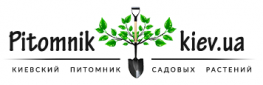 Киевский питомник садовых растений