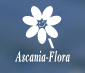 Аскания-Флора